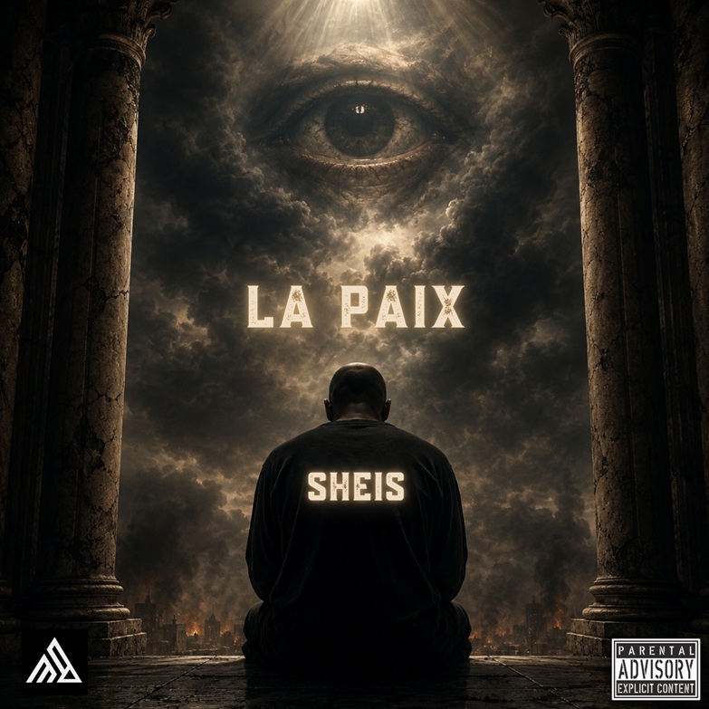Pochette de Je ne force plus la lumière par SHEIS